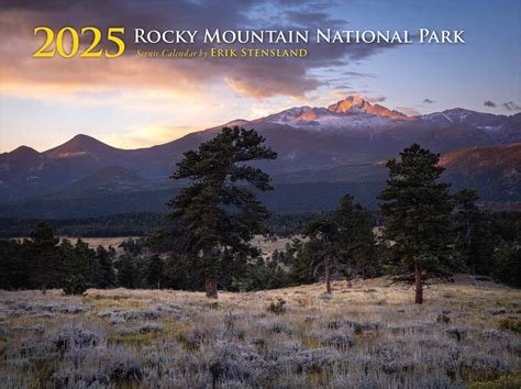 The Mountain 2025